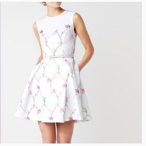 Ted Baker Ahlanna Sketchbook Dress size 2 nwot